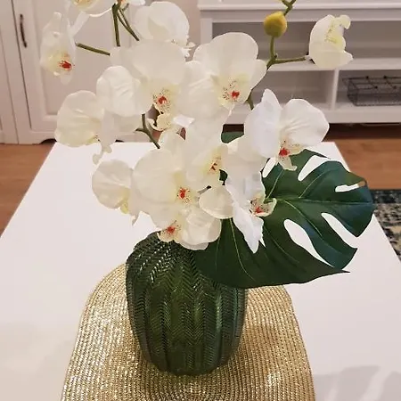 Lovely Center Apartment Apartment